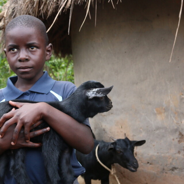Boy with goat IMG 5521